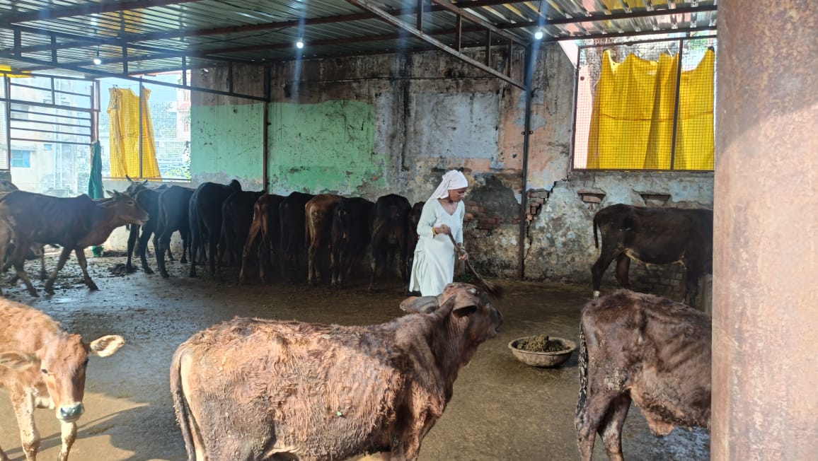 HariGanga Event